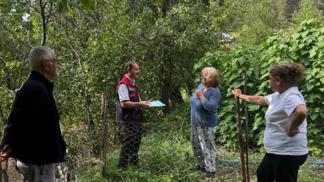 Artvin’de dört köyde tarla faresi mücadelesi başladı