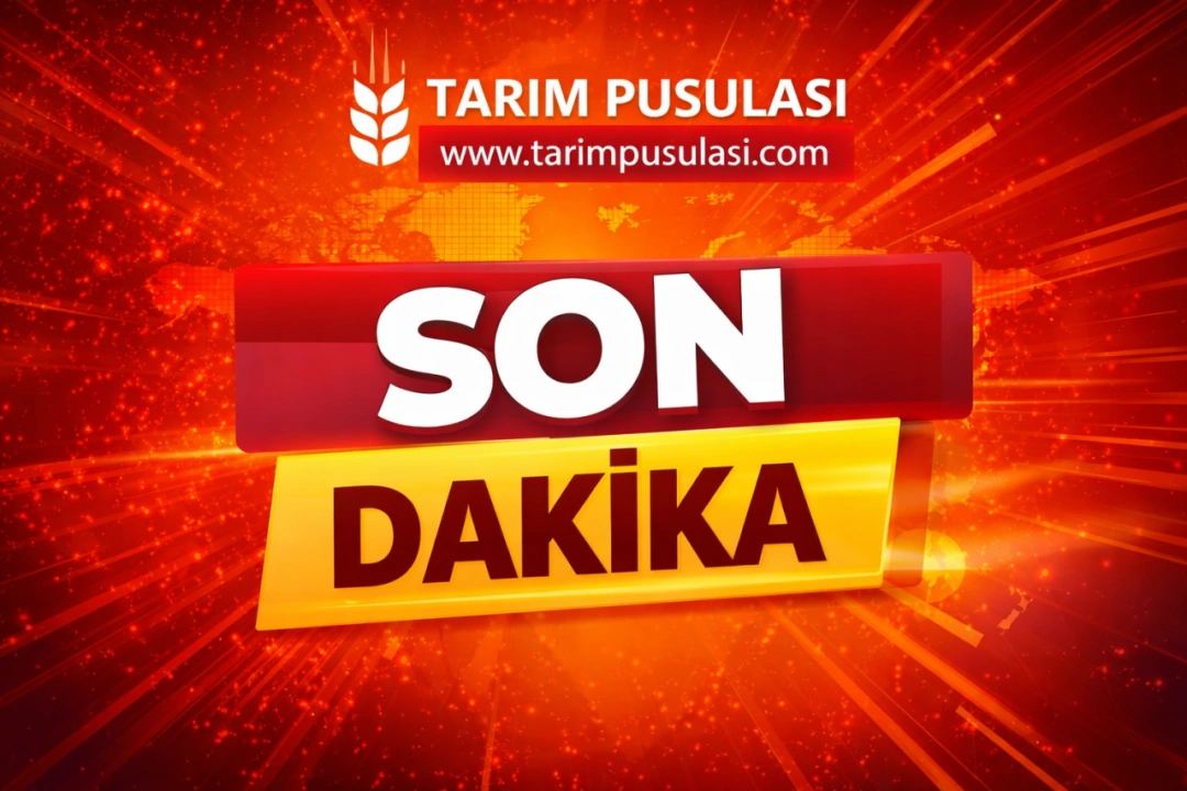 Fenerbahçe'de Romelu Lukaku transferinde mutlu son! Sağlık kontrolünden geçti